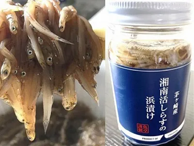 チョイスちがさき商品